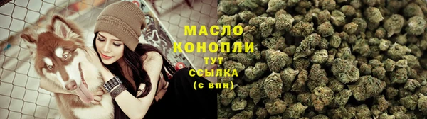 крисы Аркадак