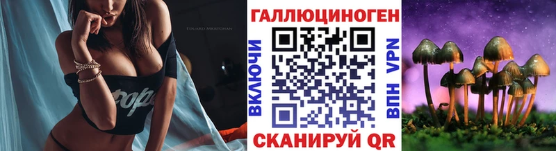 Купить  Суздаль  Галлюциногенные грибы Magic Shrooms 